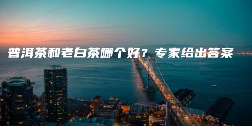 普洱茶和老白茶哪個(gè)好？專(zhuān)家給出答案插圖