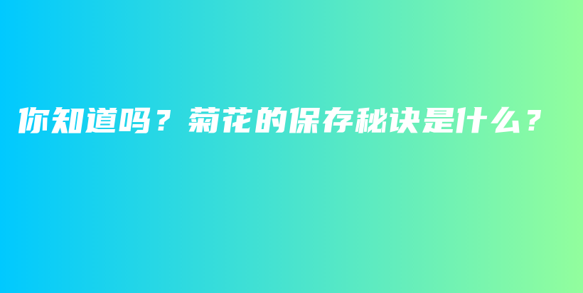 你知道嗎？菊花的保存秘訣是什么？插圖