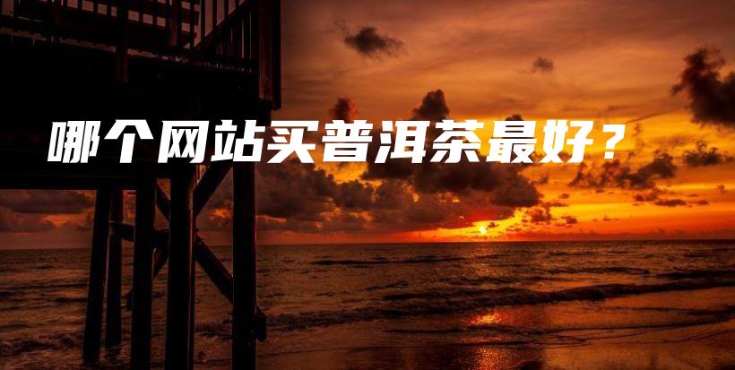哪個網(wǎng)站買普洱茶最好？插圖