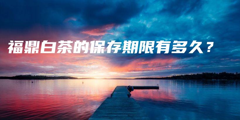 福鼎白茶的保存期限有多久？插圖