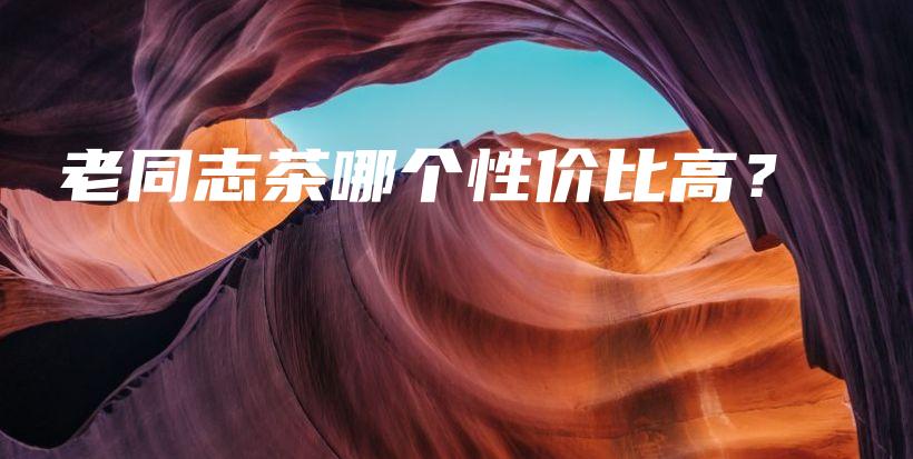 老同志茶哪個性價比高？插圖
