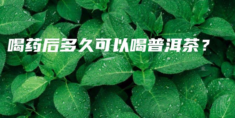 喝藥后多久可以喝普洱茶？插圖