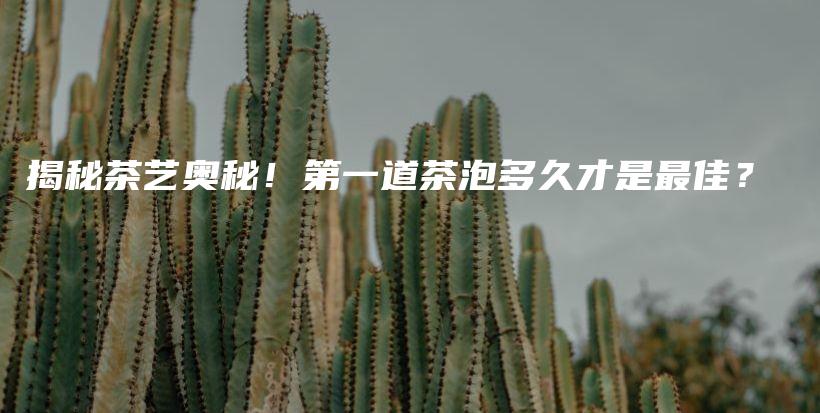 揭秘茶藝奧秘！第一道茶泡多久才是最佳？插圖