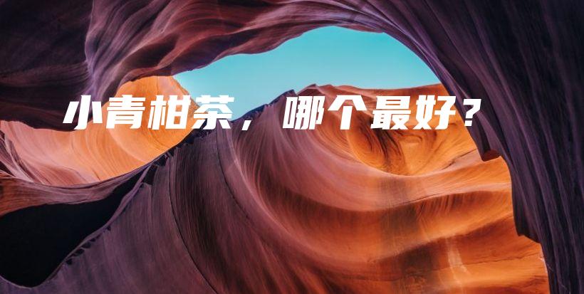 小青柑茶，哪個最好？插圖