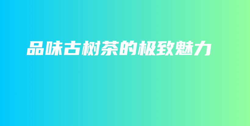 品味古樹茶的極致魅力插圖