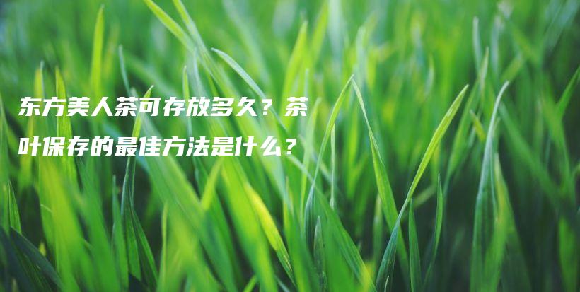 東方美人茶可存放多久？茶葉保存的最佳方法是什么？插圖