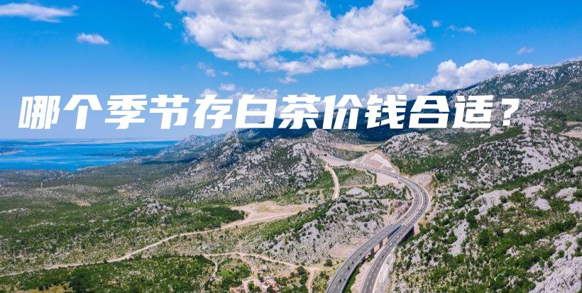 哪個季節(jié)存白茶價錢合適？插圖