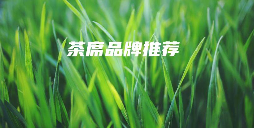 茶席品牌推薦插圖