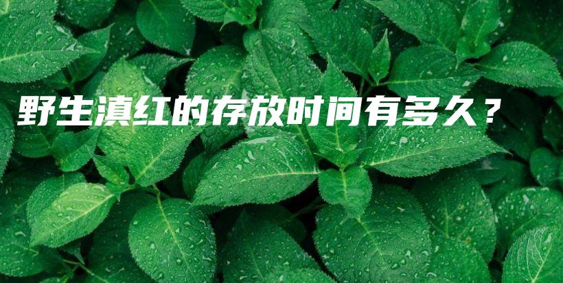 野生滇紅的存放時(shí)間有多久？插圖