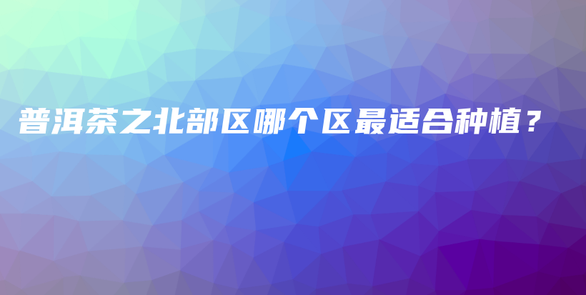 普洱茶之北部區(qū)哪個區(qū)最適合種植？插圖