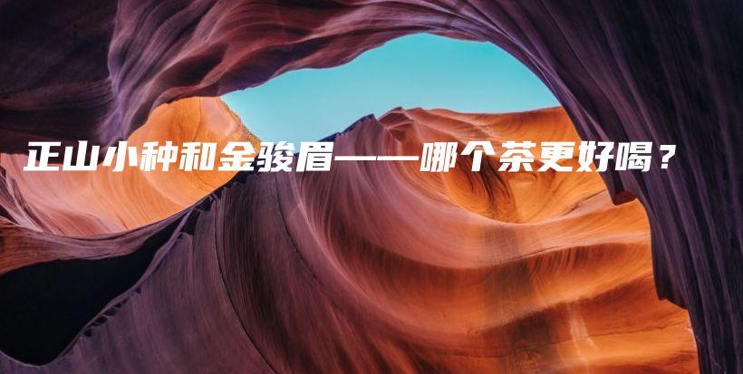 正山小種和金駿眉——哪個(gè)茶更好喝？插圖