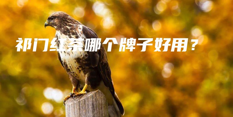 祁門紅茶哪個(gè)牌子好用？插圖