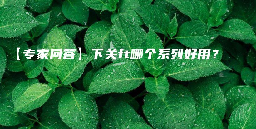 【專家問答】下關(guān)ft哪個(gè)系列好用？插圖