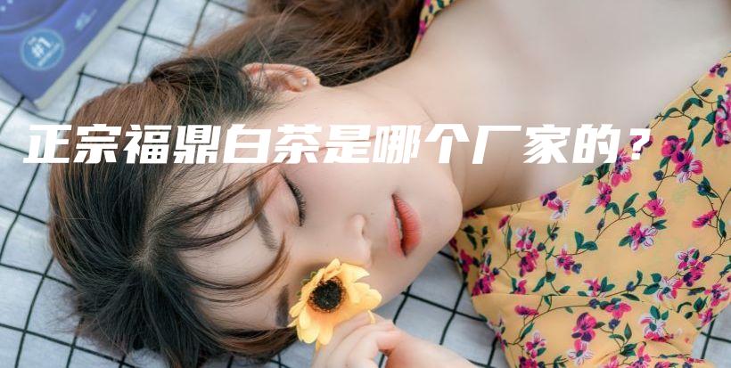 正宗福鼎白茶是哪個廠家的？插圖
