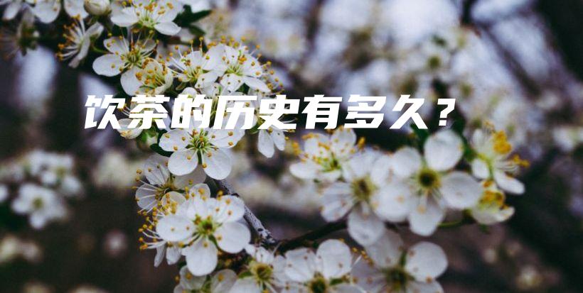 飲茶的歷史有多久？插圖