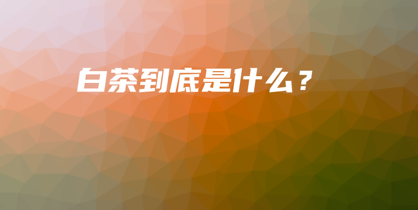 白茶到底是什么？插圖