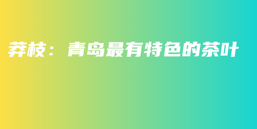 莽枝：青島最有特色的茶葉插圖