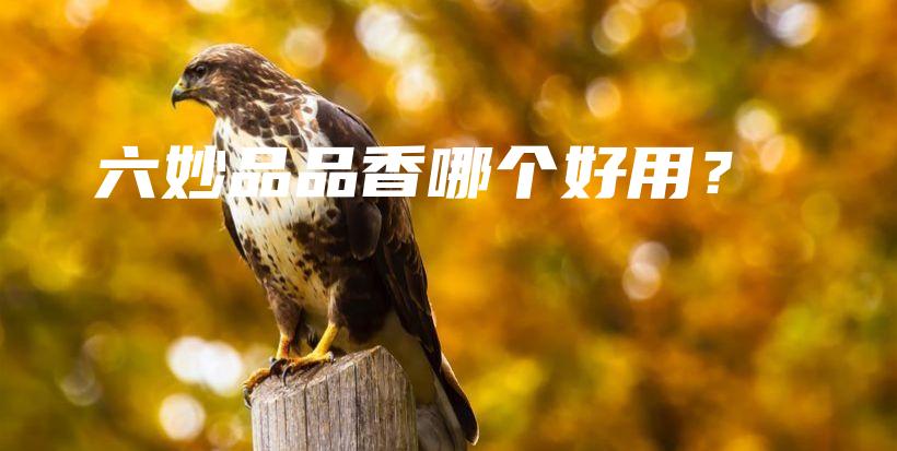 六妙品品香哪個好用？插圖