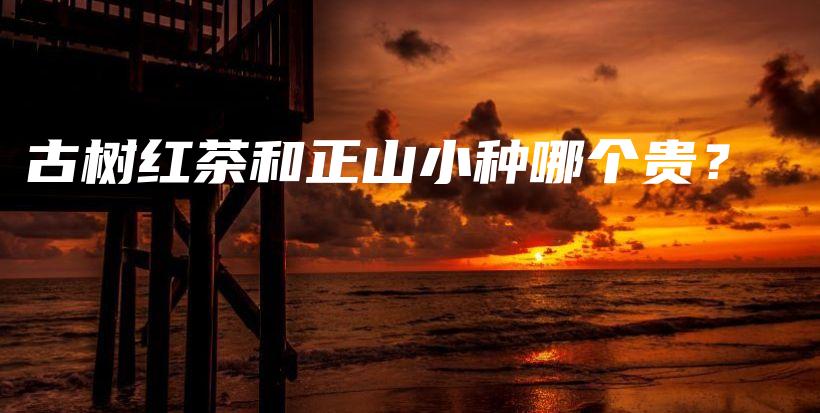 古樹紅茶和正山小種哪個(gè)貴？插圖