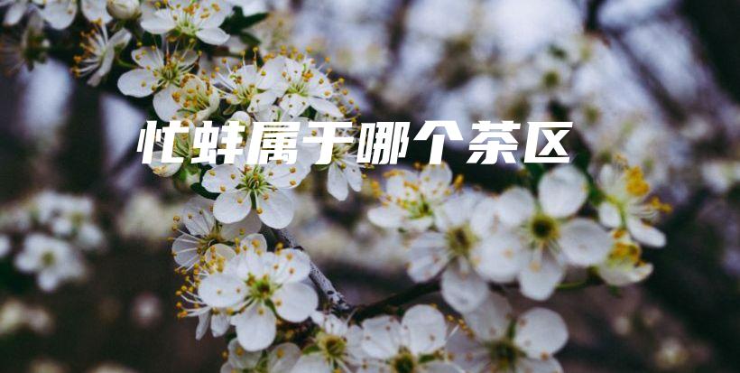 忙蚌屬于哪個茶區(qū)插圖