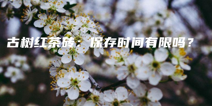 古樹紅茶磚：保存時(shí)間有限嗎？插圖