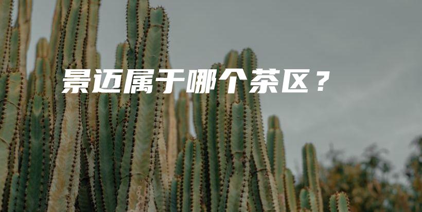 景邁屬于哪個茶區(qū)？插圖