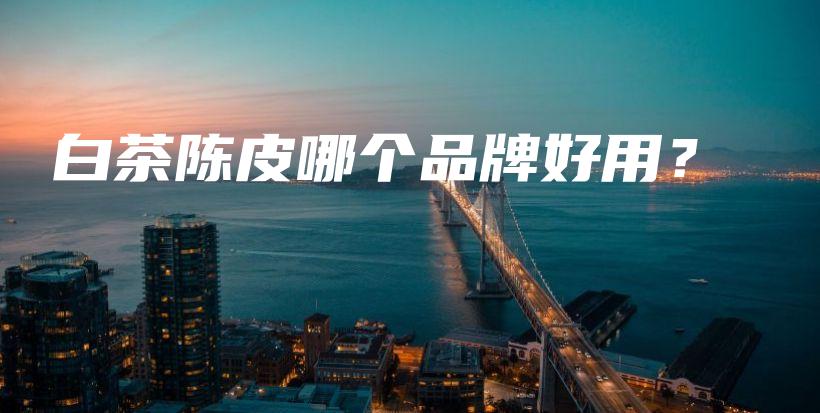 白茶陳皮哪個(gè)品牌好用？插圖