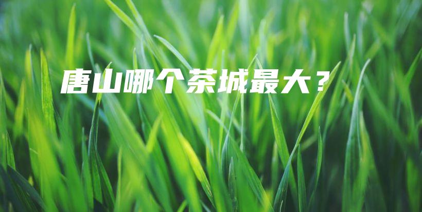 唐山哪個茶城最大？插圖