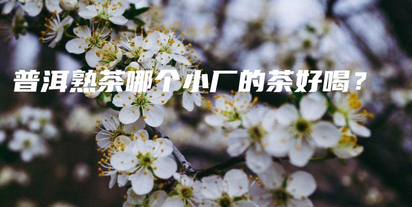 普洱熟茶哪個(gè)小廠的茶好喝？插圖