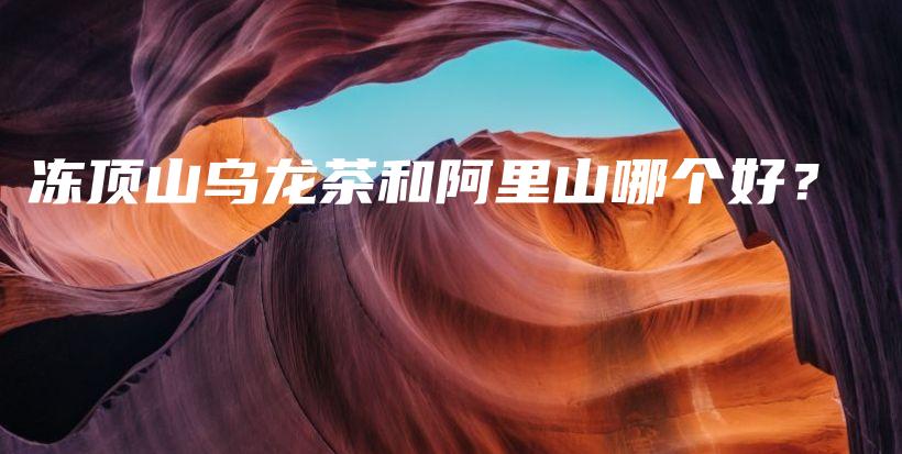 凍頂山烏龍茶和阿里山哪個(gè)好？插圖