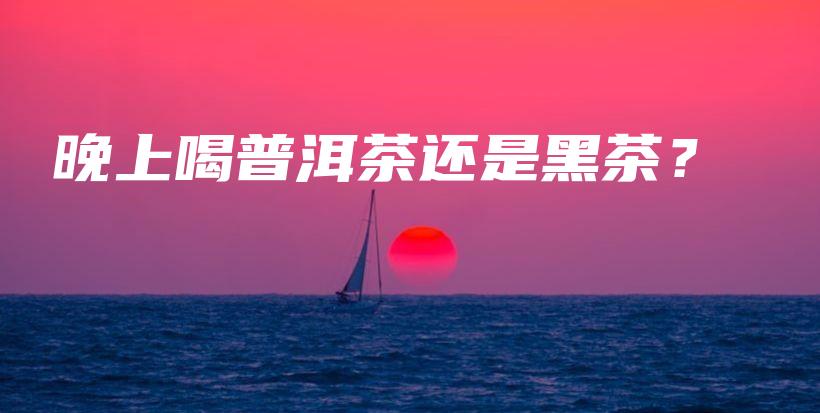 晚上喝普洱茶還是黑茶？插圖