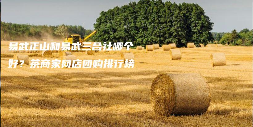 易武正山和易武三合社哪個好？茶商家網(wǎng)店團購排行榜插圖
