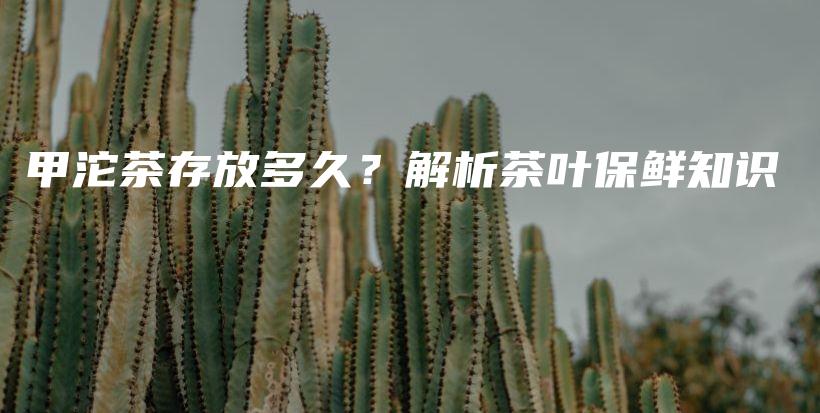 甲沱茶存放多久？解析茶葉保鮮知識(shí)插圖