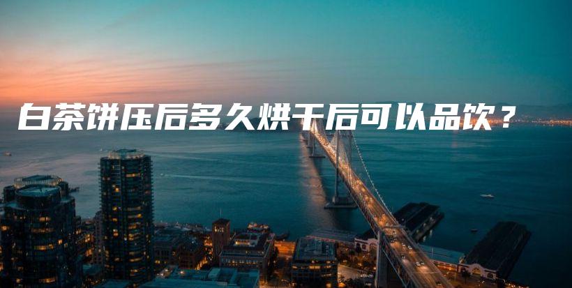 白茶餅壓后多久烘干后可以品飲？插圖