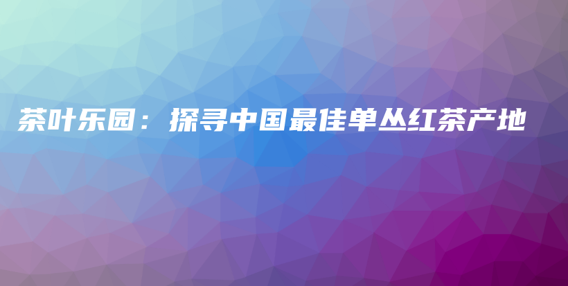 茶葉樂園：探尋中國最佳單叢紅茶產(chǎn)地插圖