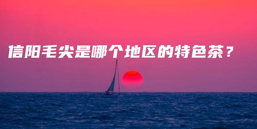 信陽毛尖是哪個地區(qū)的特色茶？插圖