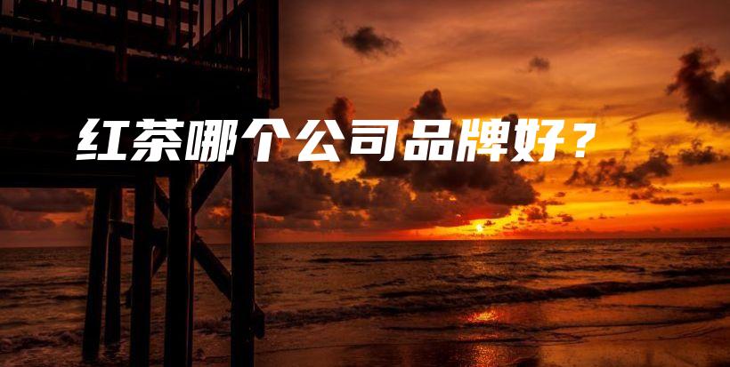 紅茶哪個(gè)公司品牌好？插圖