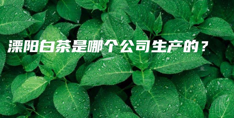 溧陽(yáng)白茶是哪個(gè)公司生產(chǎn)的？插圖
