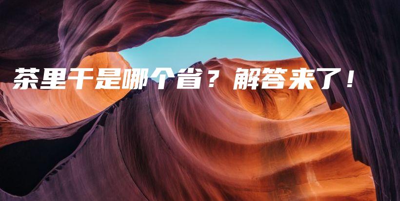 茶里干是哪個(gè)?。拷獯饋砹?！插圖