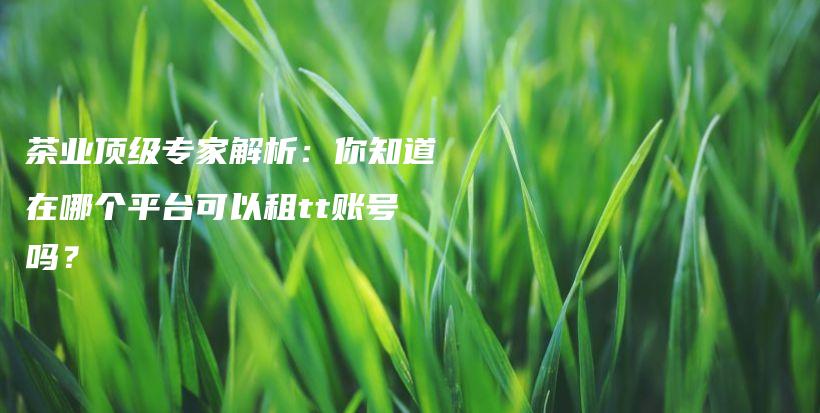 茶業(yè)頂級專家解析：你知道在哪個平臺可以租tt賬號嗎？插圖