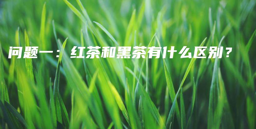 問題一：紅茶和黑茶有什么區(qū)別？插圖