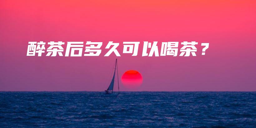 醉茶后多久可以喝茶？插圖