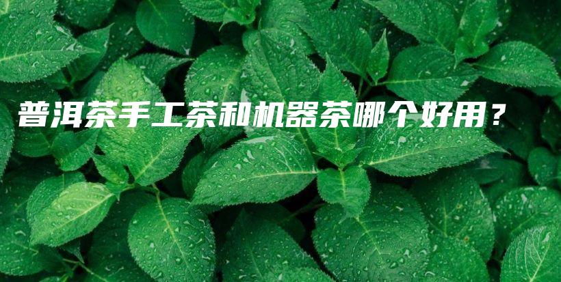 普洱茶手工茶和機(jī)器茶哪個(gè)好用？插圖