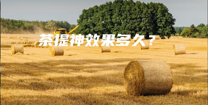 茶提神效果多久？插圖