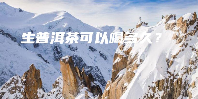 生普洱茶可以喝多久？插圖