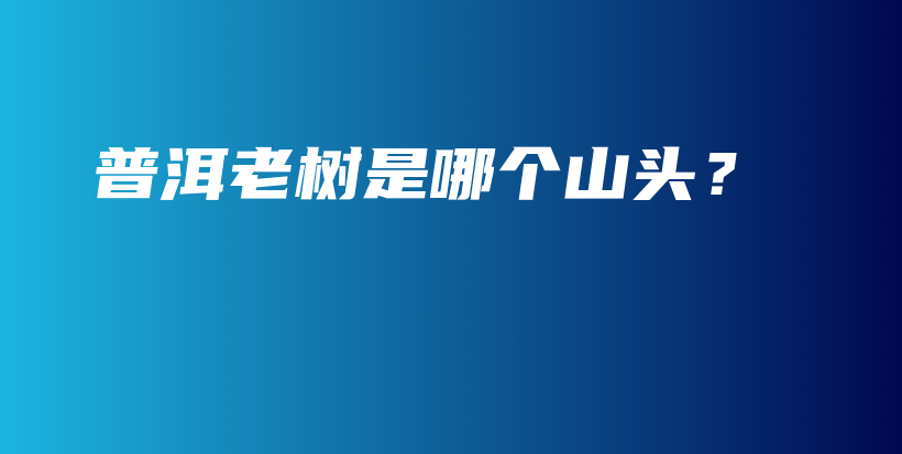 普洱老樹是哪個山頭？插圖