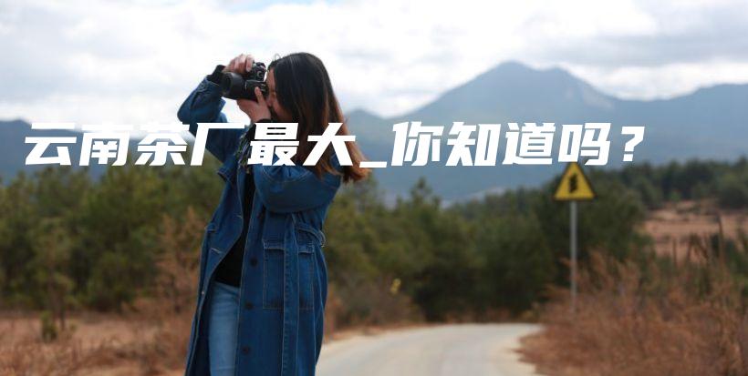 云南茶廠最大_你知道嗎？插圖
