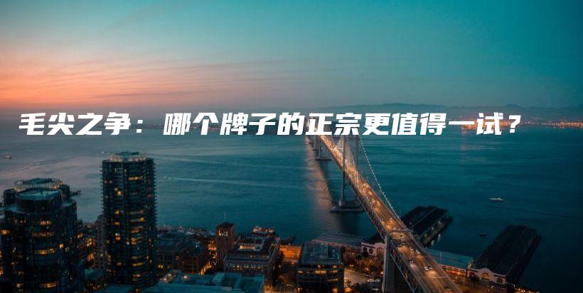 毛尖之爭(zhēng)：哪個(gè)牌子的正宗更值得一試？插圖
