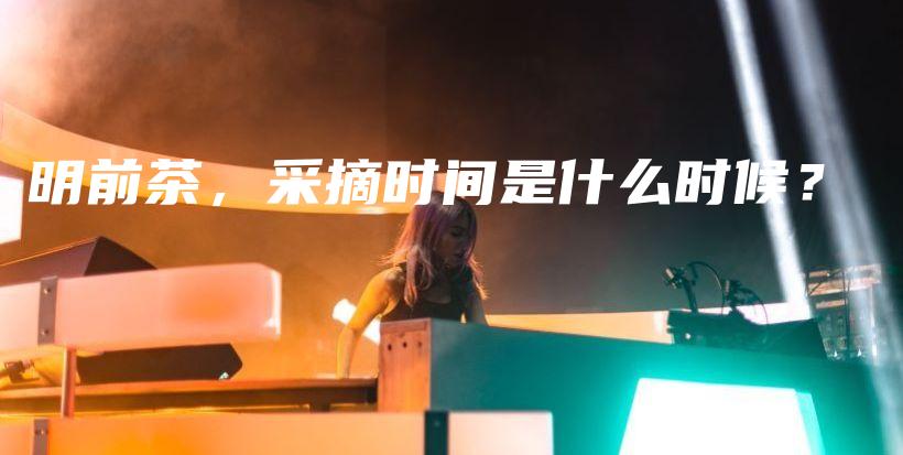 明前茶，采摘時間是什么時候？插圖