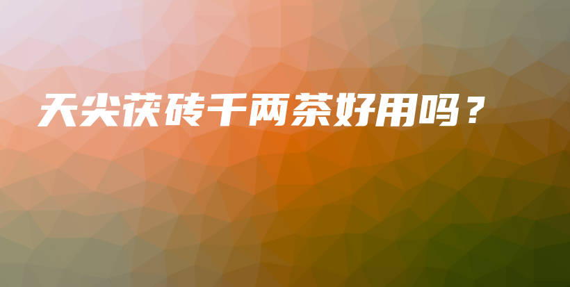 天尖茯磚千兩茶好用嗎？插圖
